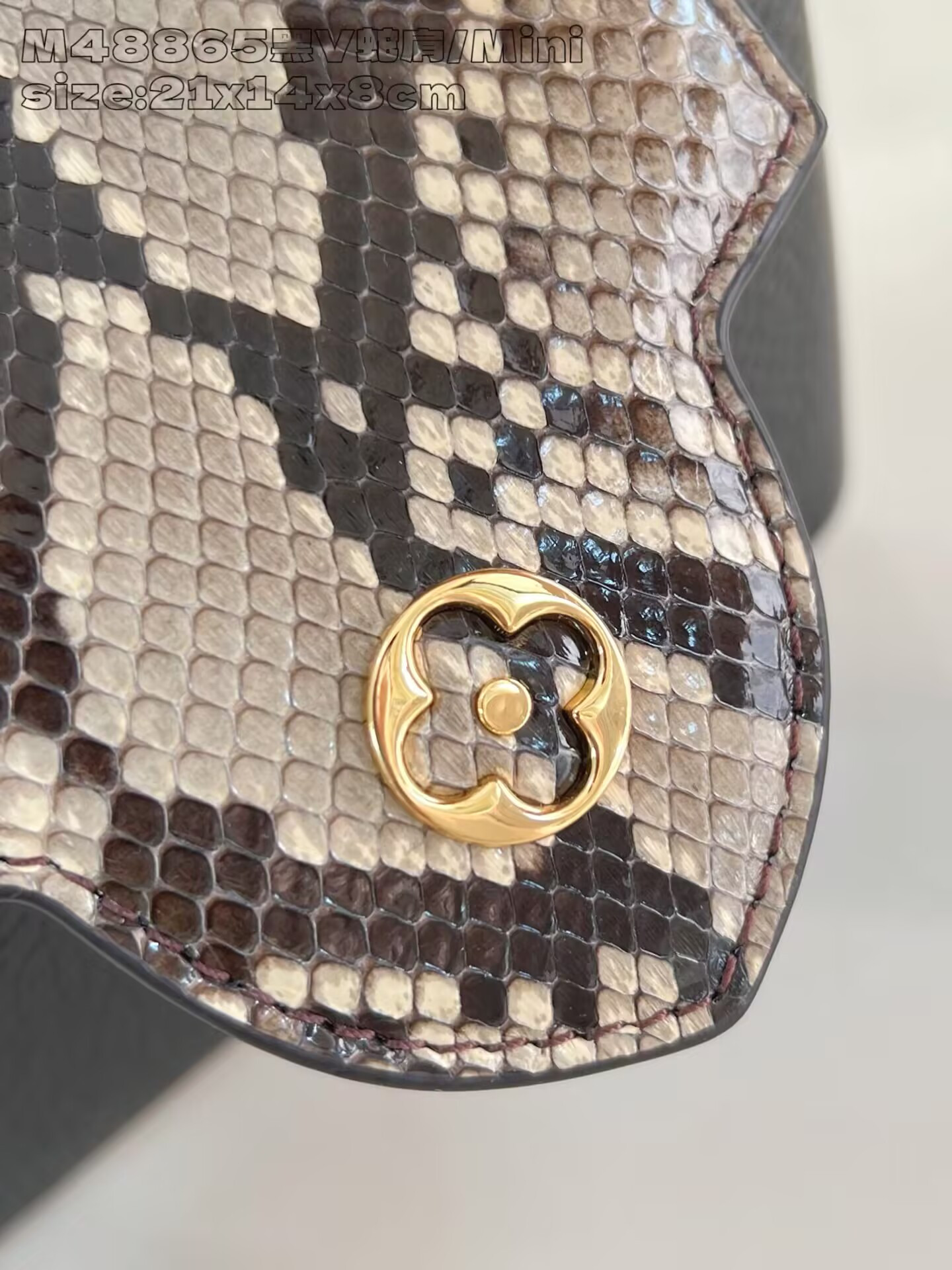 LV Capucines Mini M48865 21x14x8cm