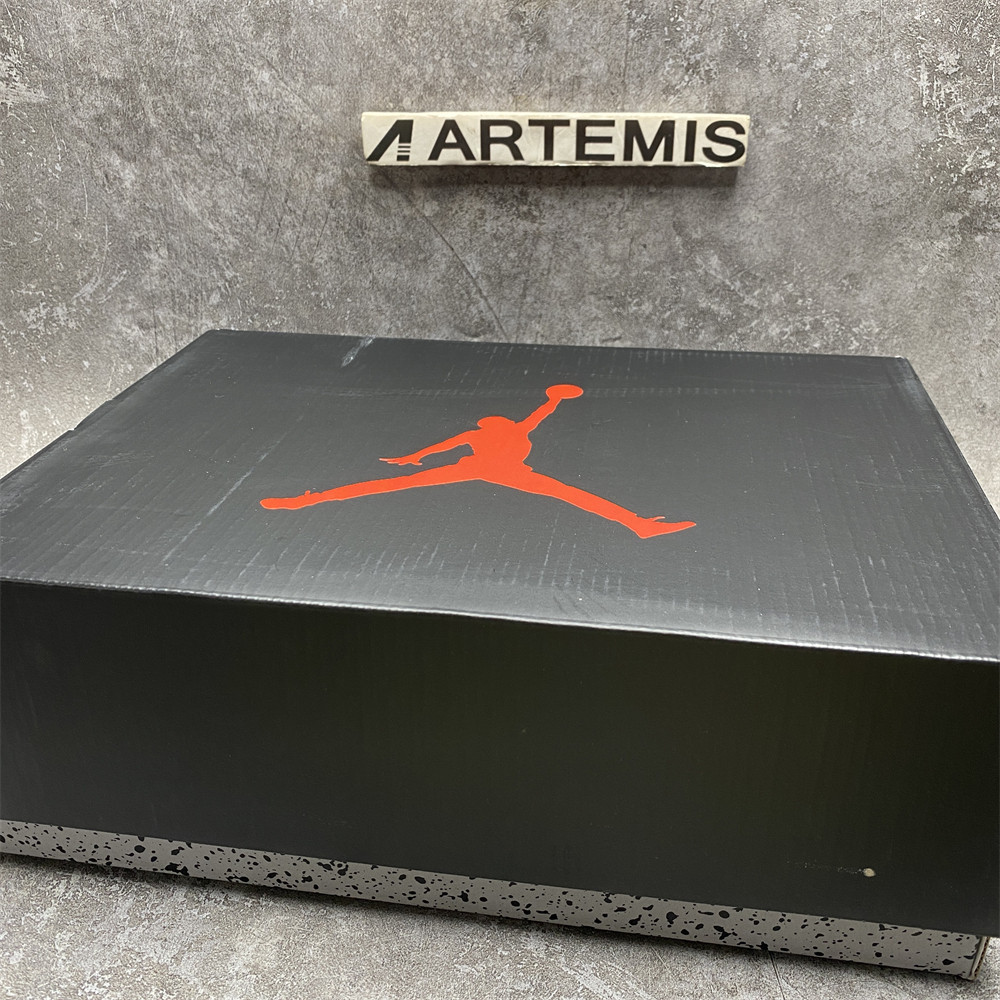 AIR JORDAN 5 RETRO SE 