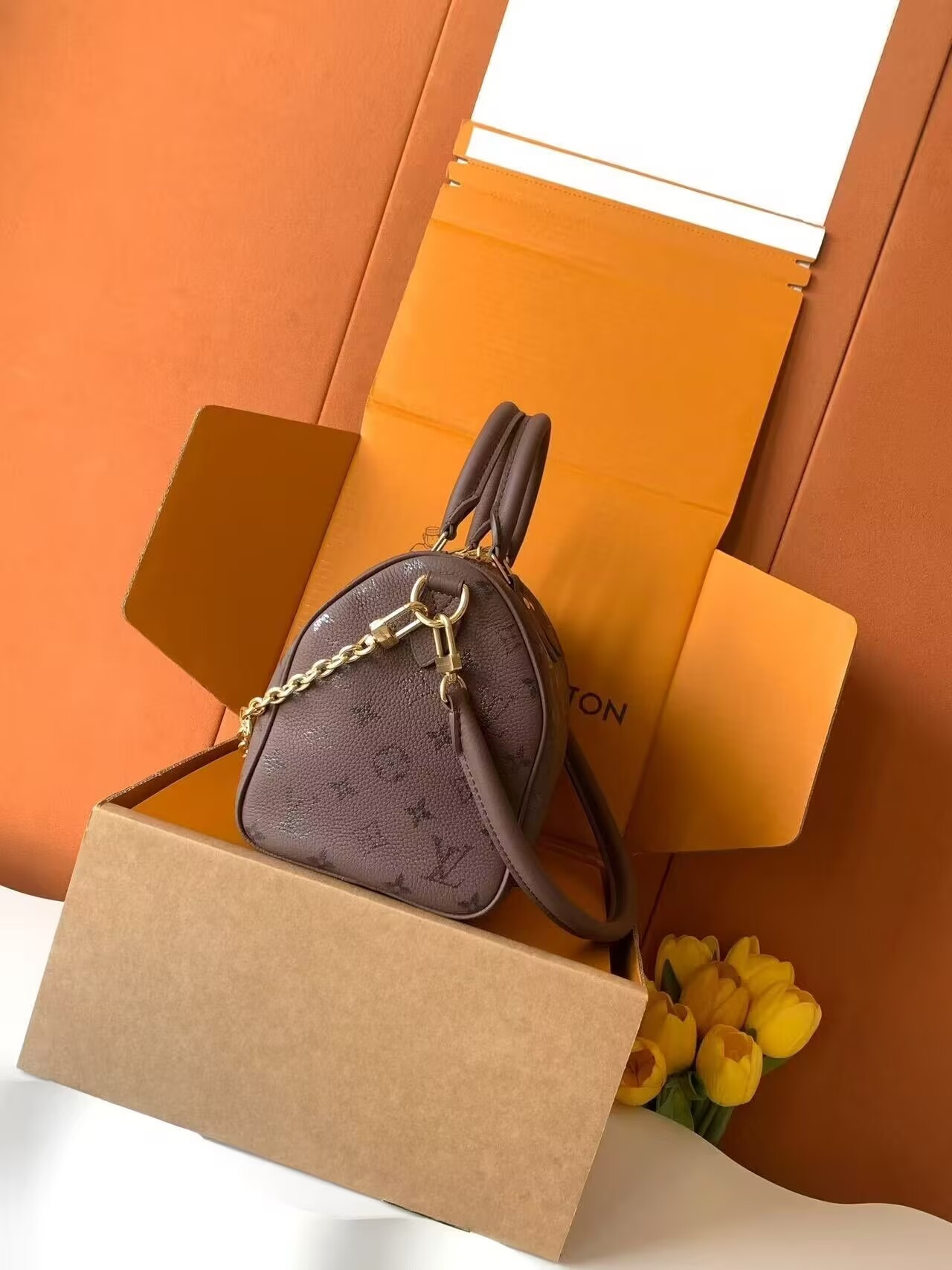 LV SPEEDY BANDOULIÈRE 25 M26691 18x13x25cm