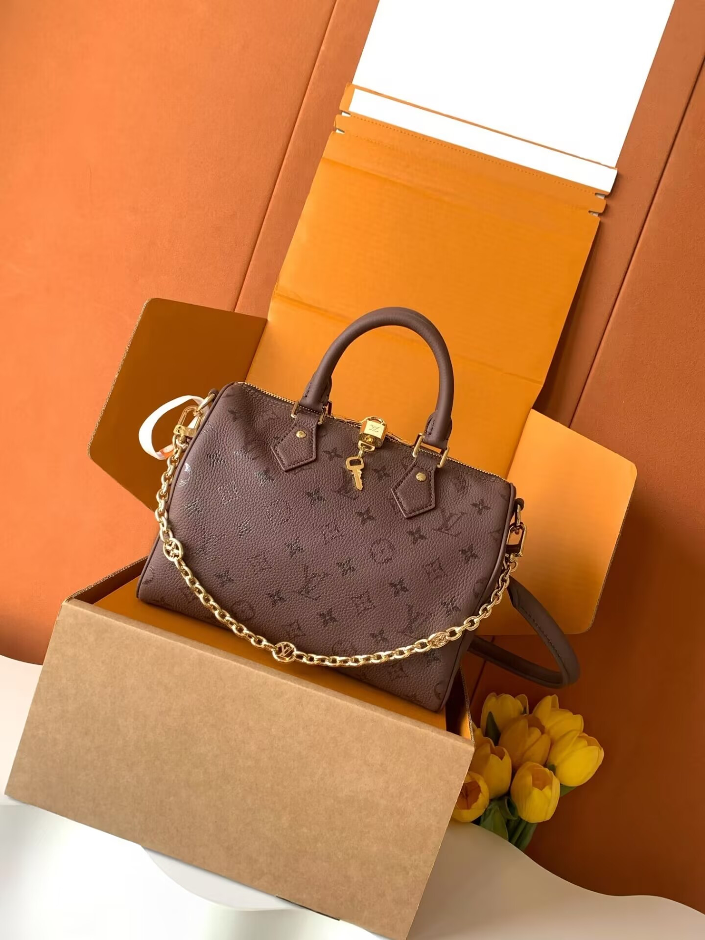 LV SPEEDY BANDOULIÈRE 25 M26691 18x13x25cm