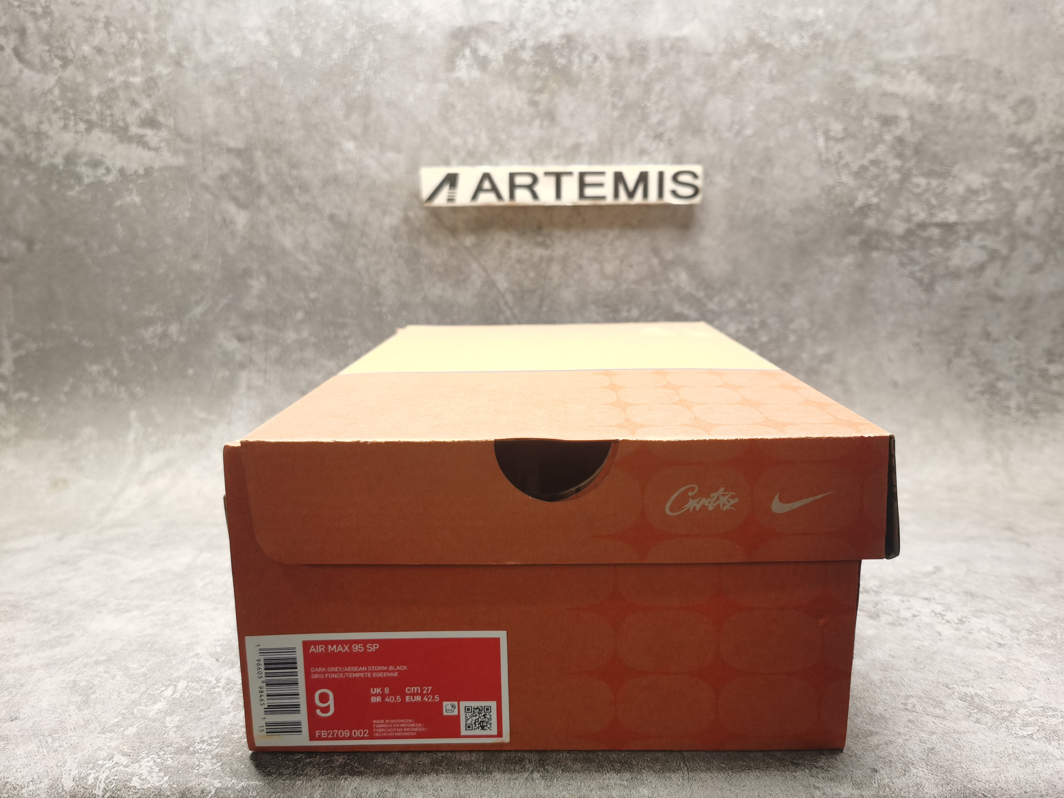 UA Nike Air Max 95 SP