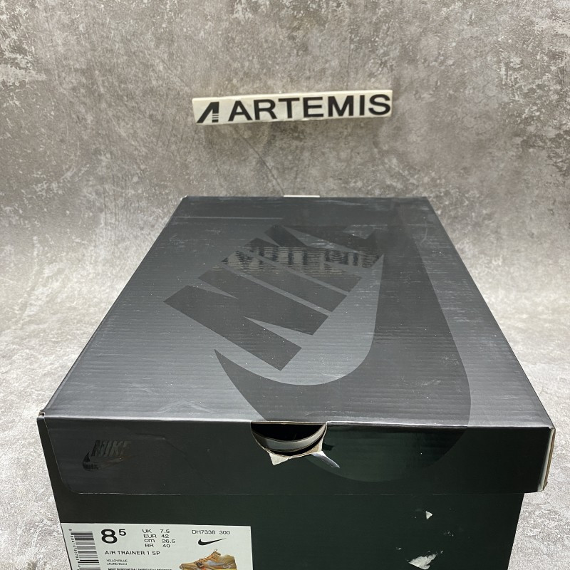 Nike Air Trainer 1 SP Coriander